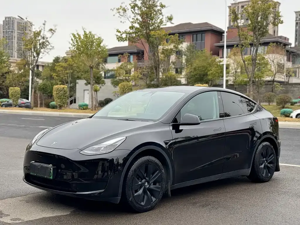 Tesla Model Y — фото 1
