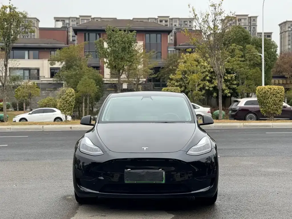 Tesla Model Y — фото 8