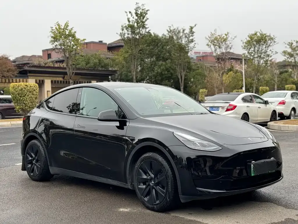 Tesla Model Y — фото 10