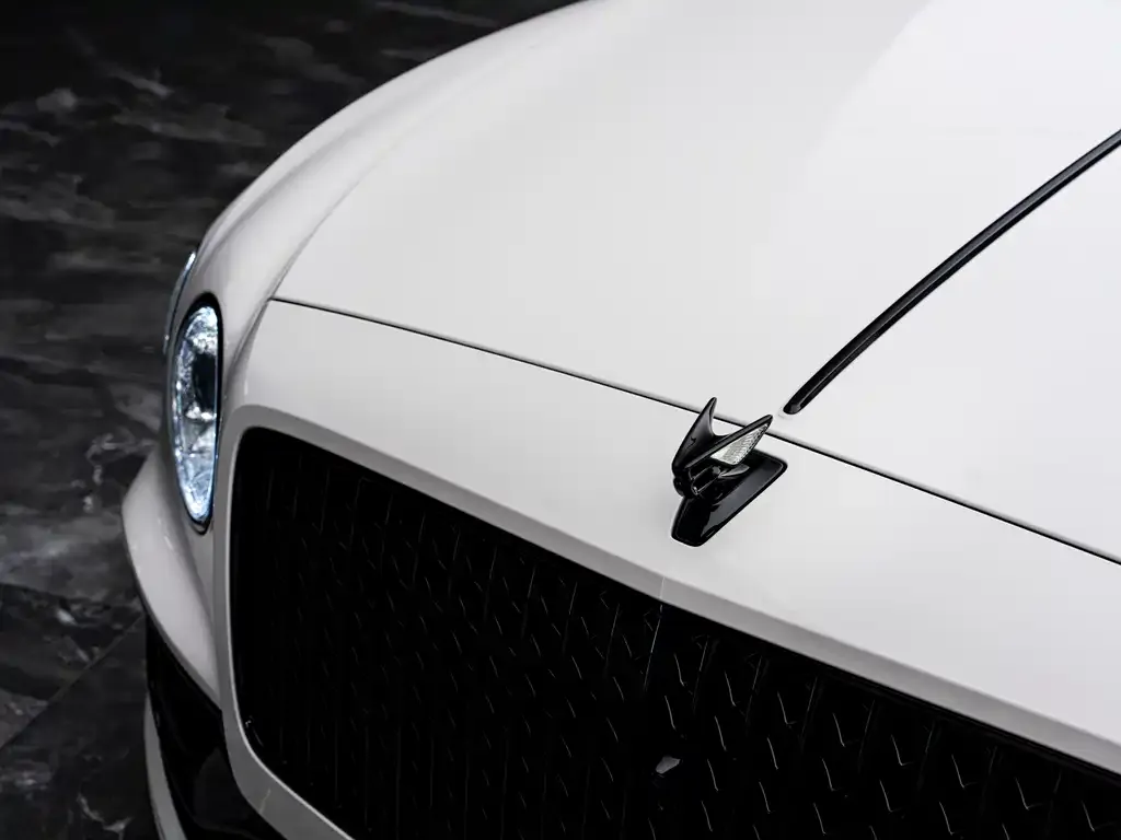Bentley Flying Spur — фото 9
