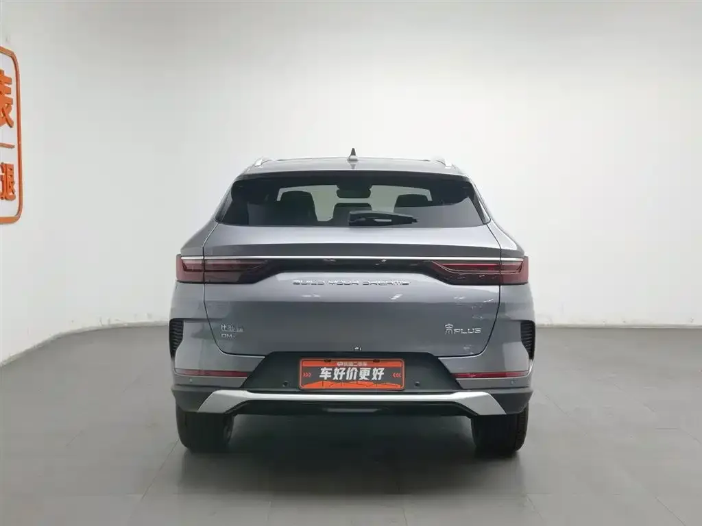 BYD PLUS New Energy — фото 4