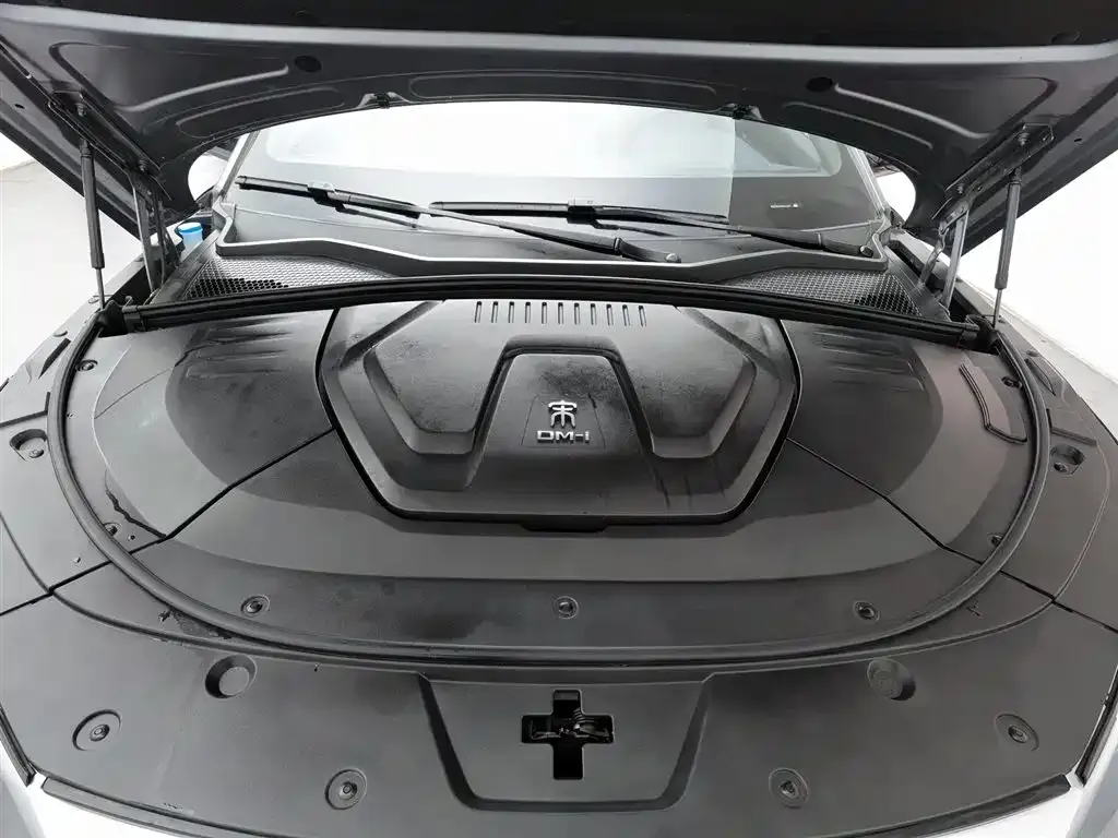 BYD PLUS New Energy — фото 8