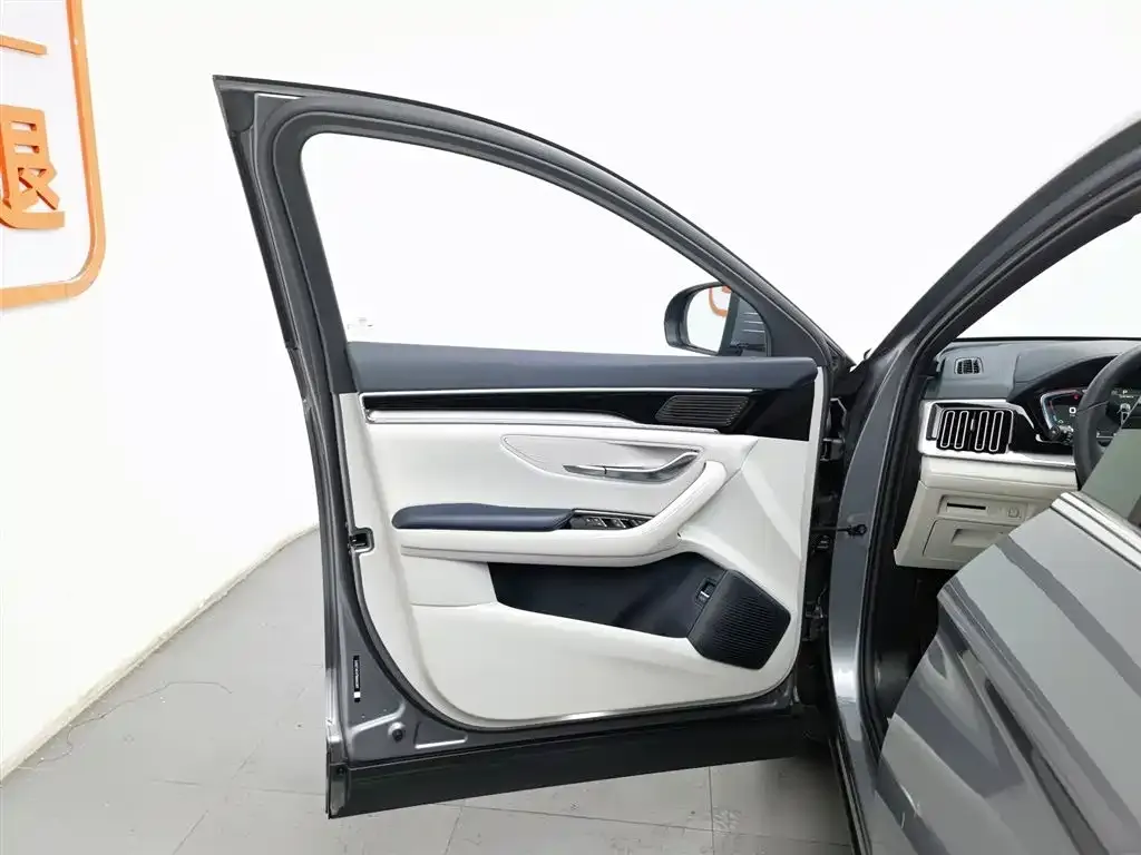 BYD PLUS New Energy — фото 3