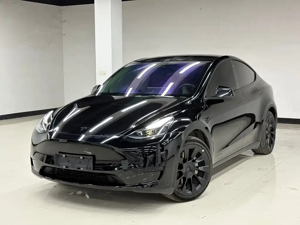 Tesla Model Y — фото 1
