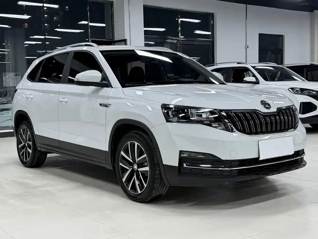 Skoda Kamiq — фото 7