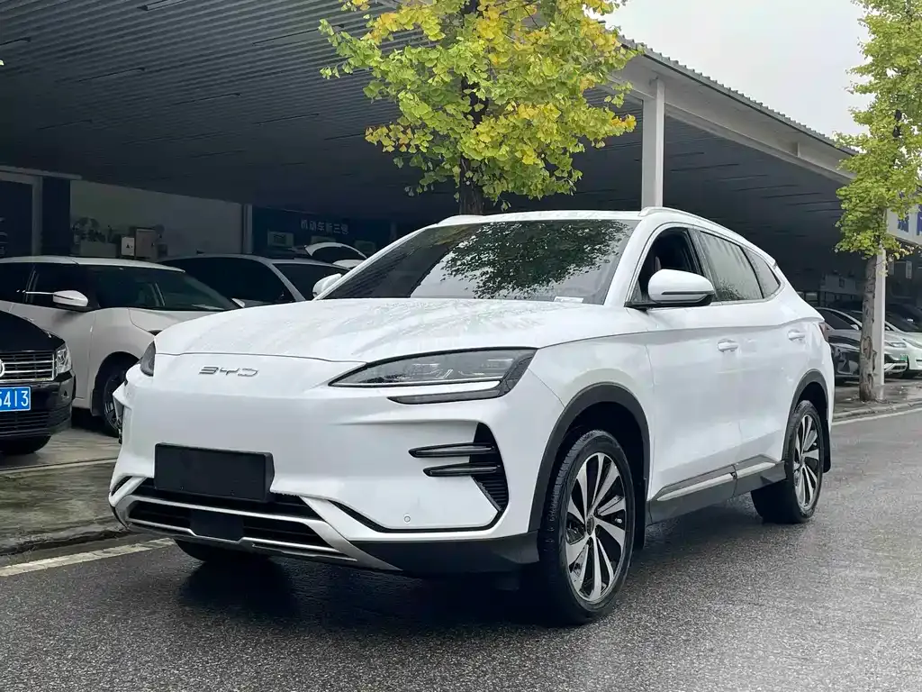 BYD PLUS New Energy — фото 1