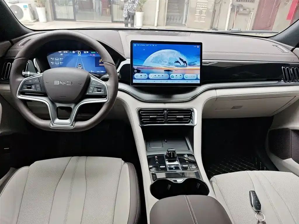 BYD PLUS New Energy — фото 6