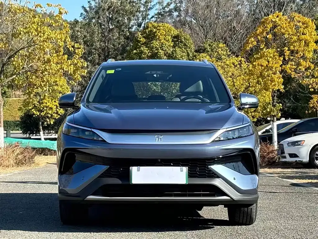 BYD Pro New Energy — фото 8