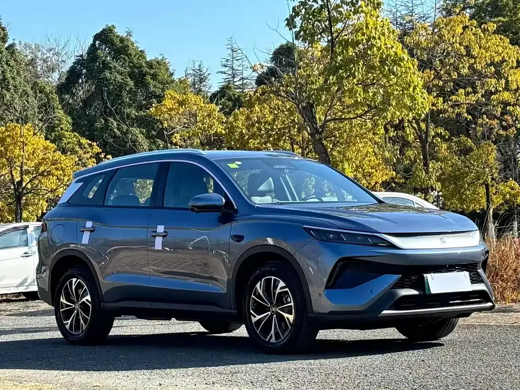 BYD Pro New Energy — фото 7