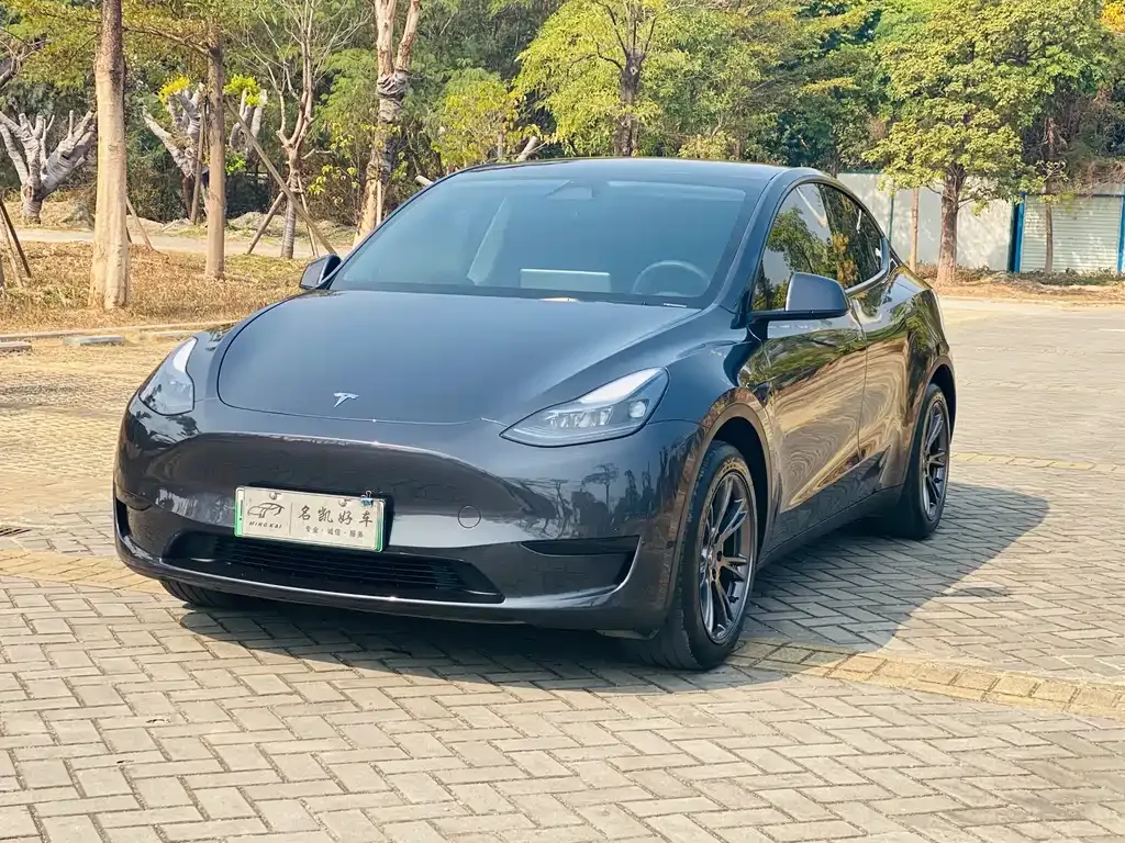 Tesla Model Y — фото 1