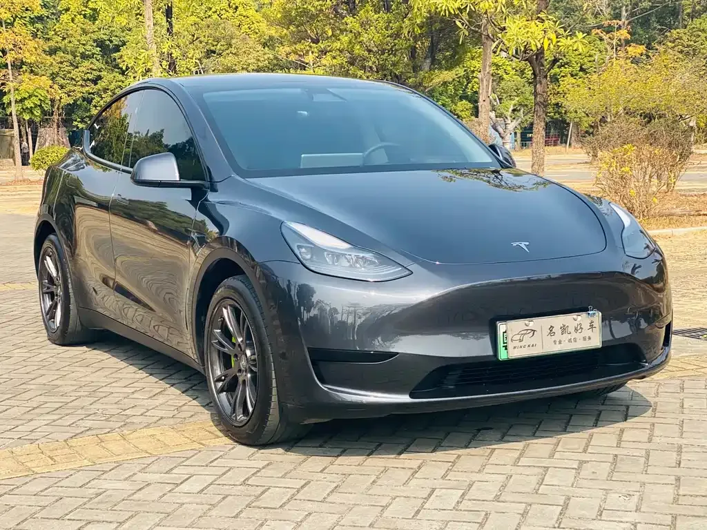 Tesla Model Y — фото 10