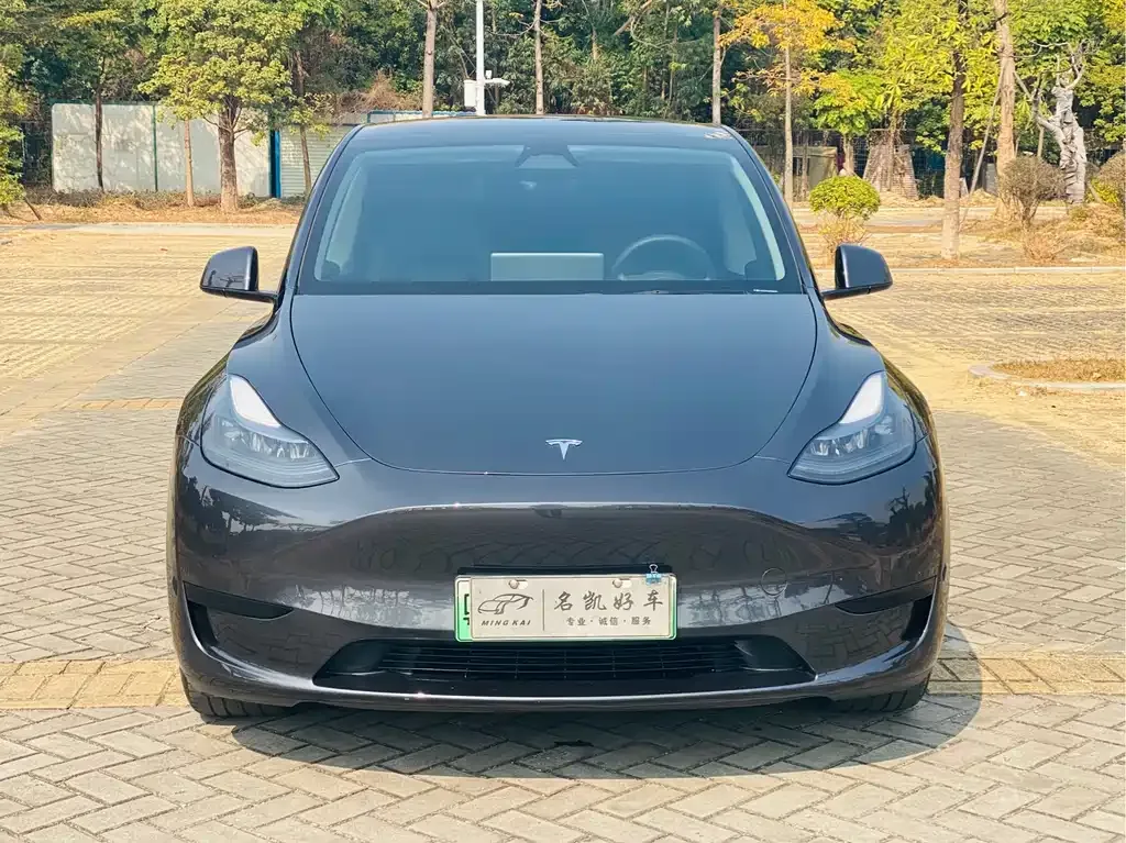 Tesla Model Y — фото 4