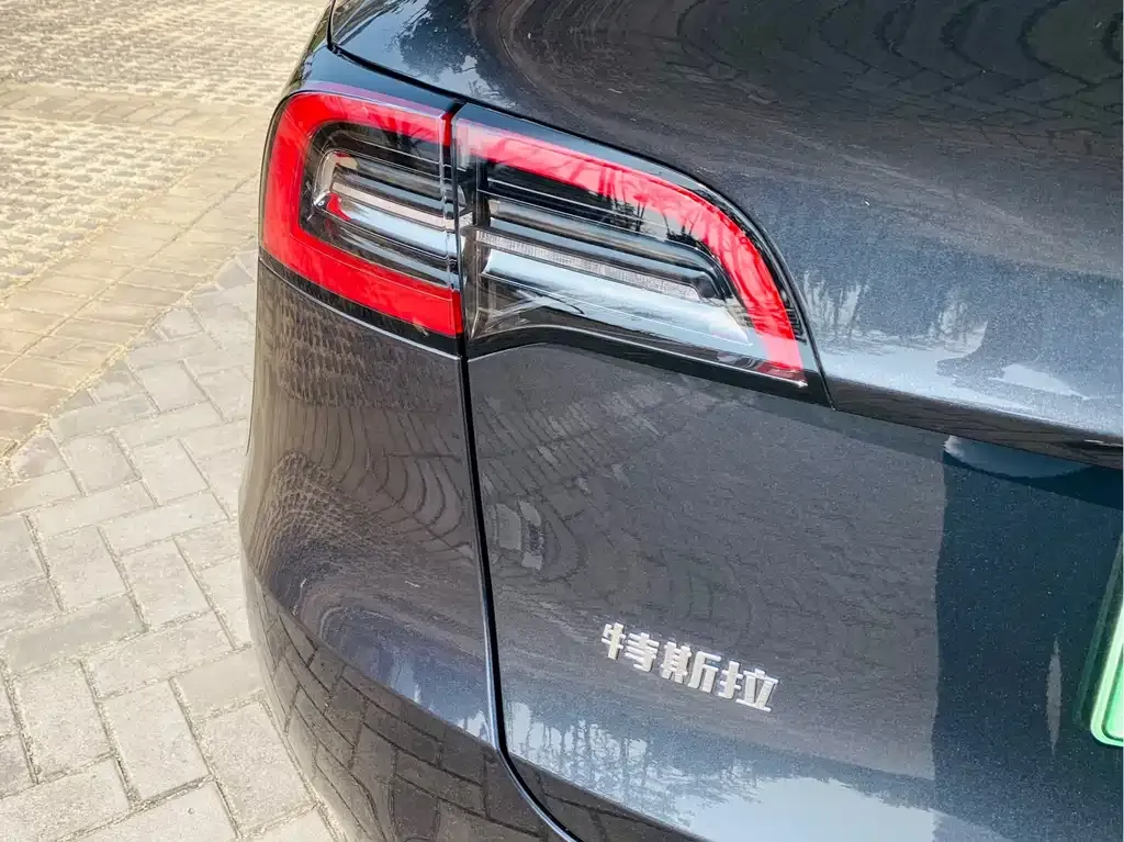 Tesla Model Y — фото 3