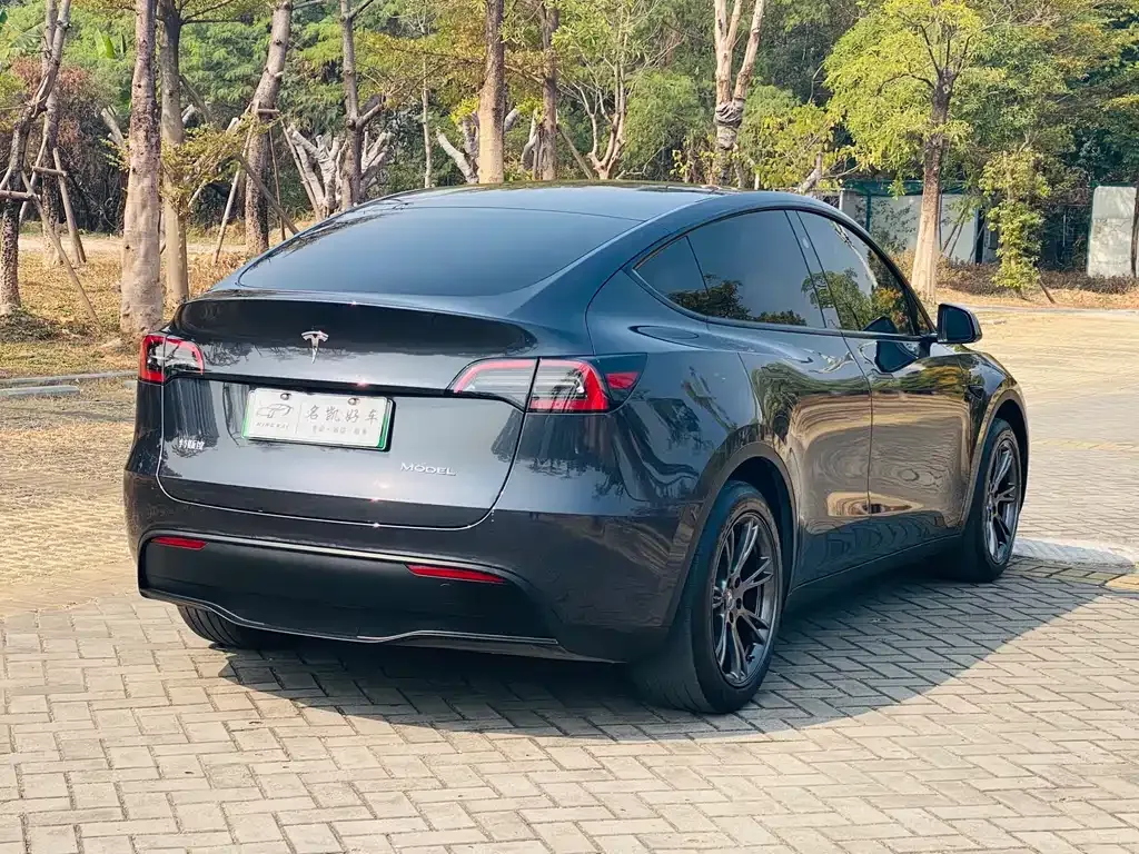 Tesla Model Y — фото 9
