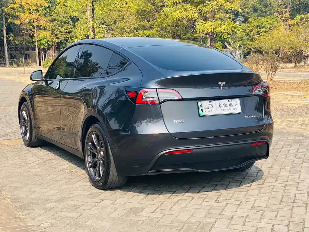 Tesla Model Y — фото 8