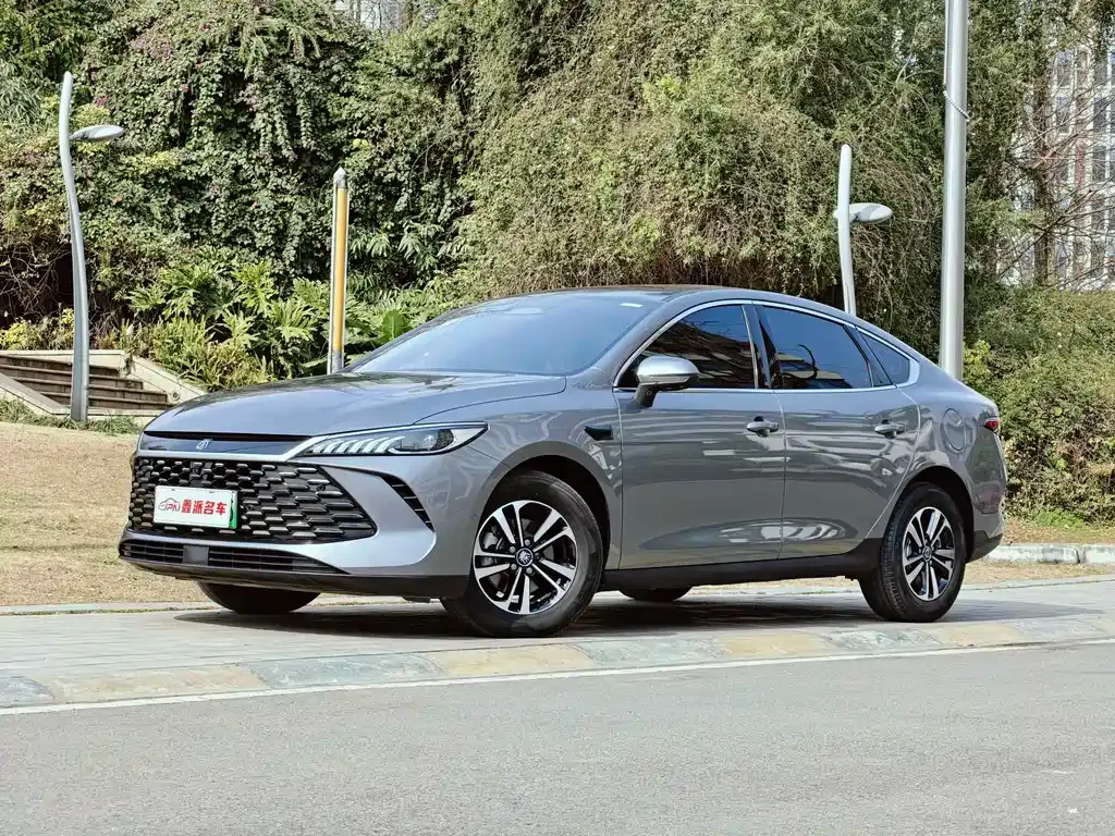 BYD Qin PLUS — фото 1