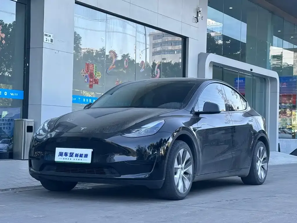 Tesla Model Y — фото 1
