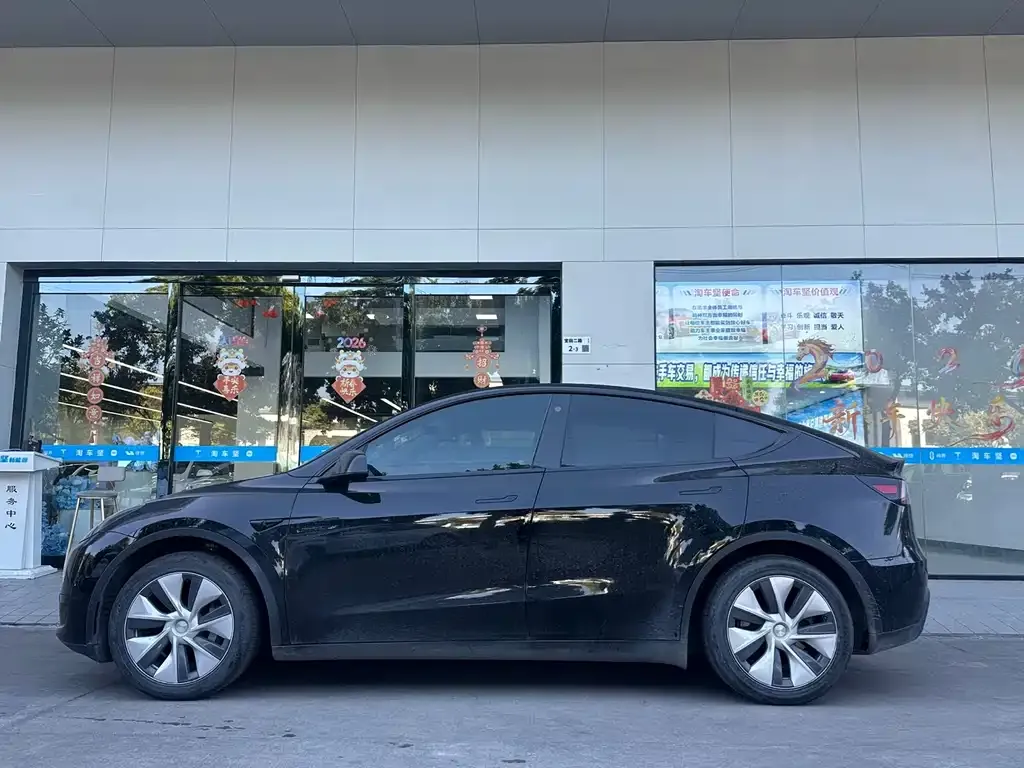 Tesla Model Y — фото 2