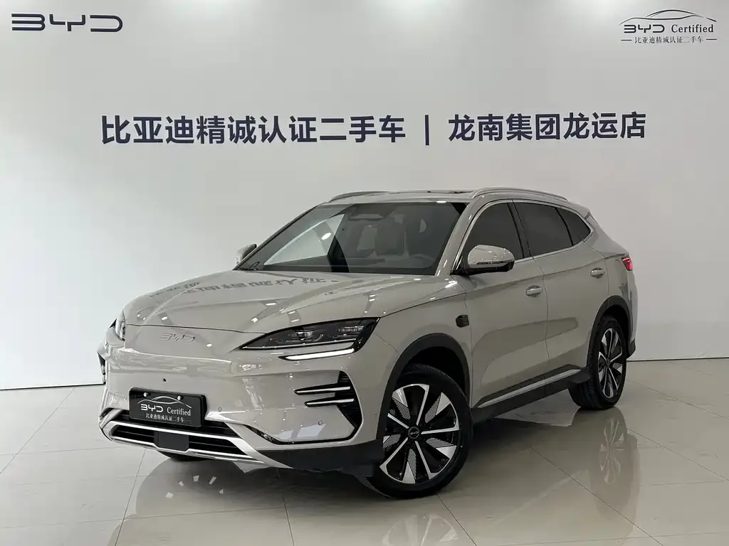 BYD PLUS New Energy — фото 1