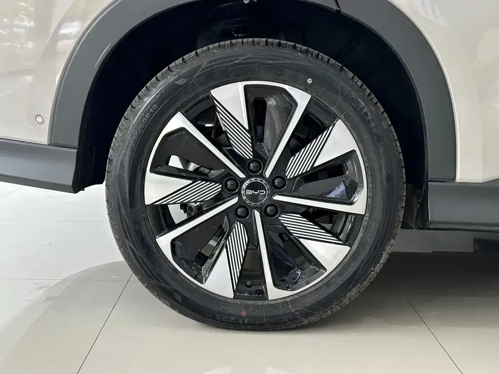 BYD PLUS New Energy — фото 10