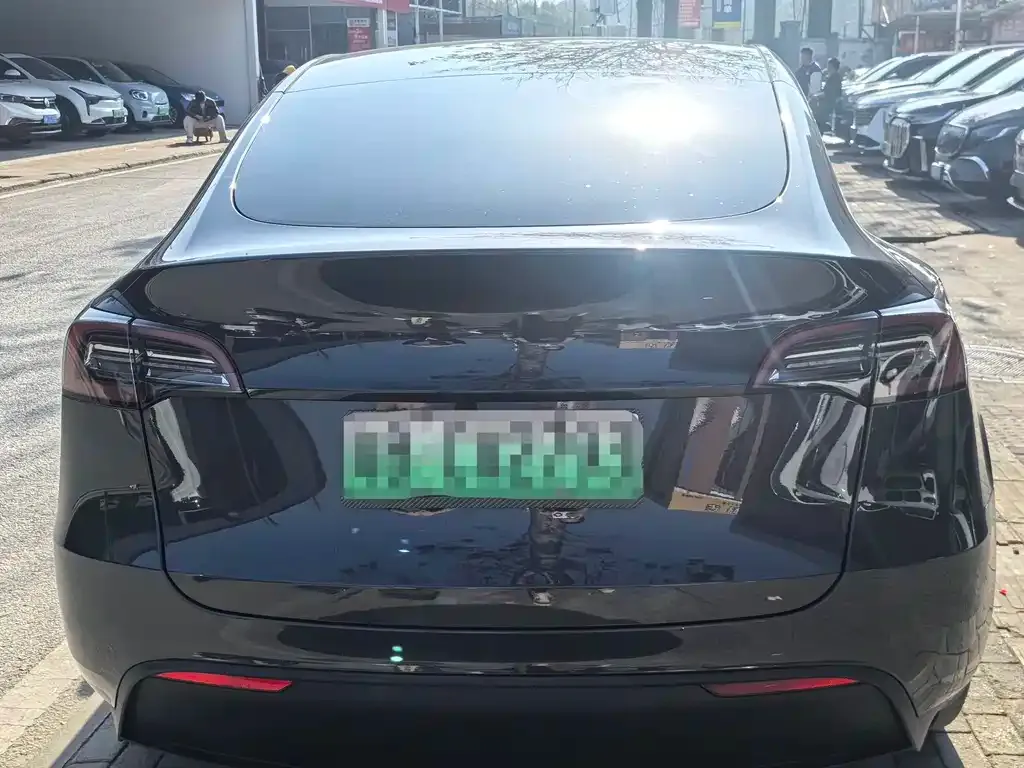 Tesla Model Y — фото 6