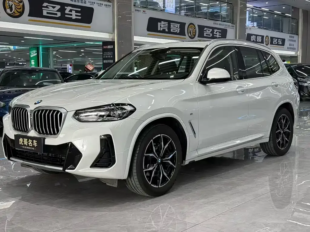 BMW X3 — фото 1