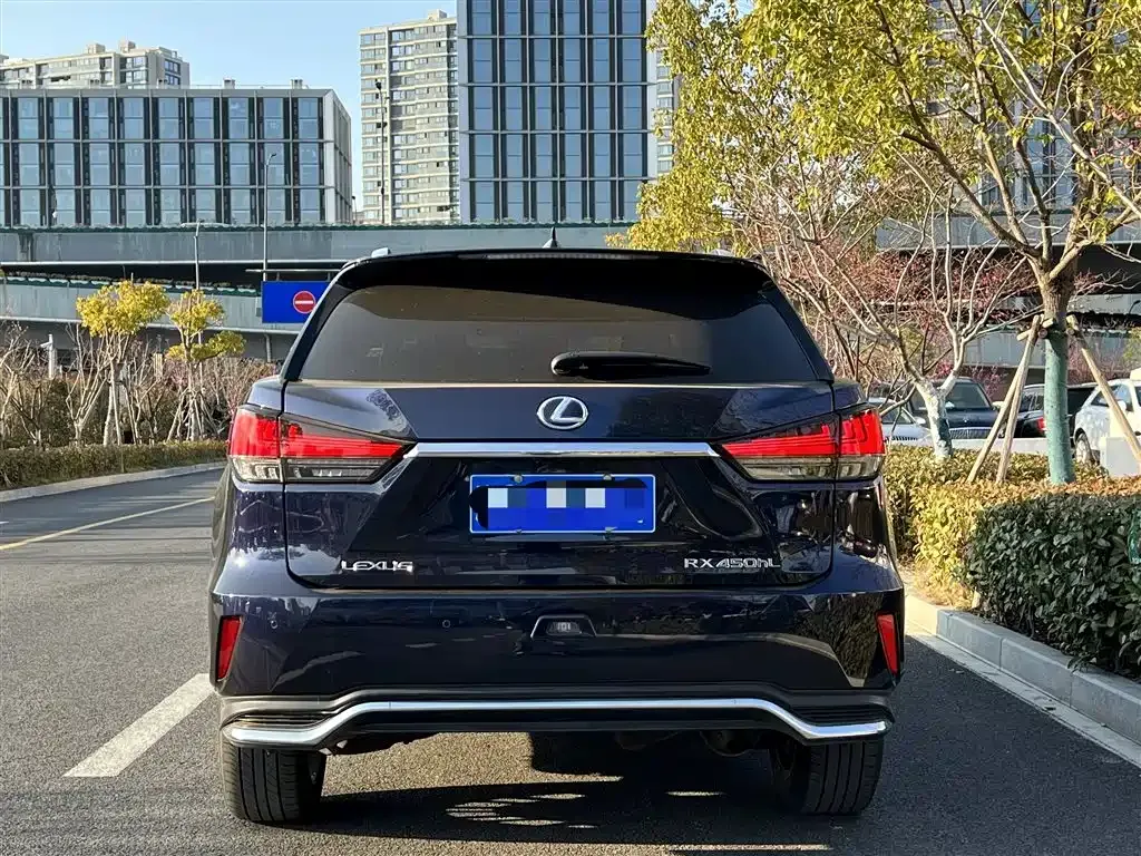 Lexus RX — фото 5