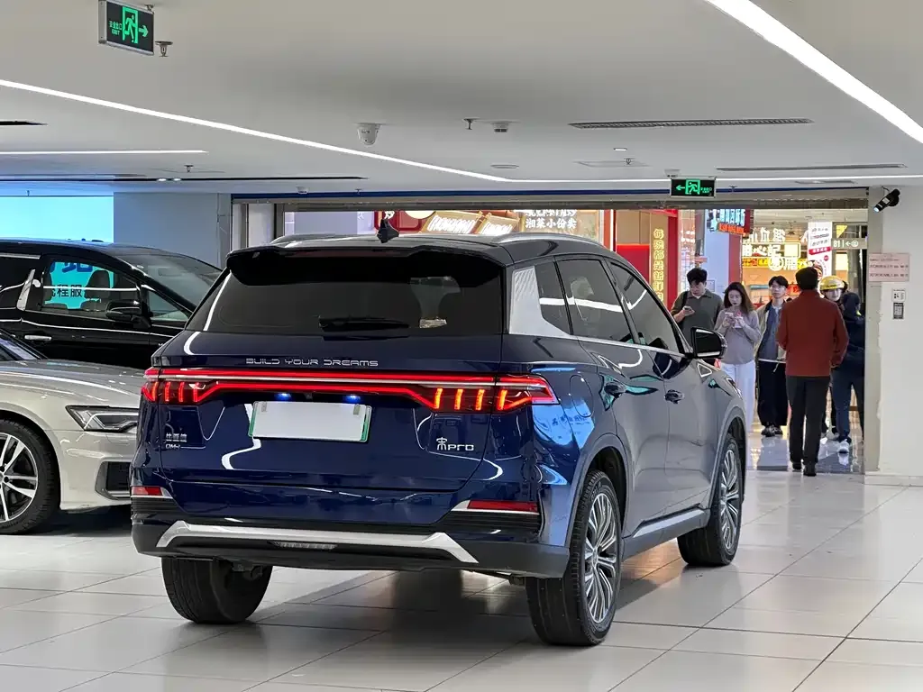 BYD Pro New Energy — фото 9