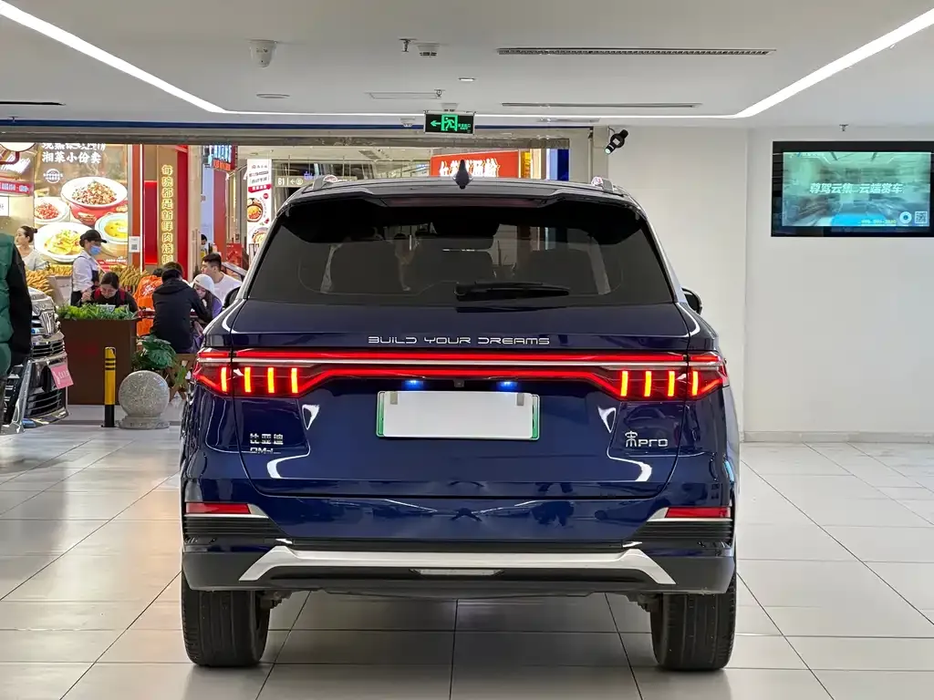 BYD Pro New Energy — фото 3