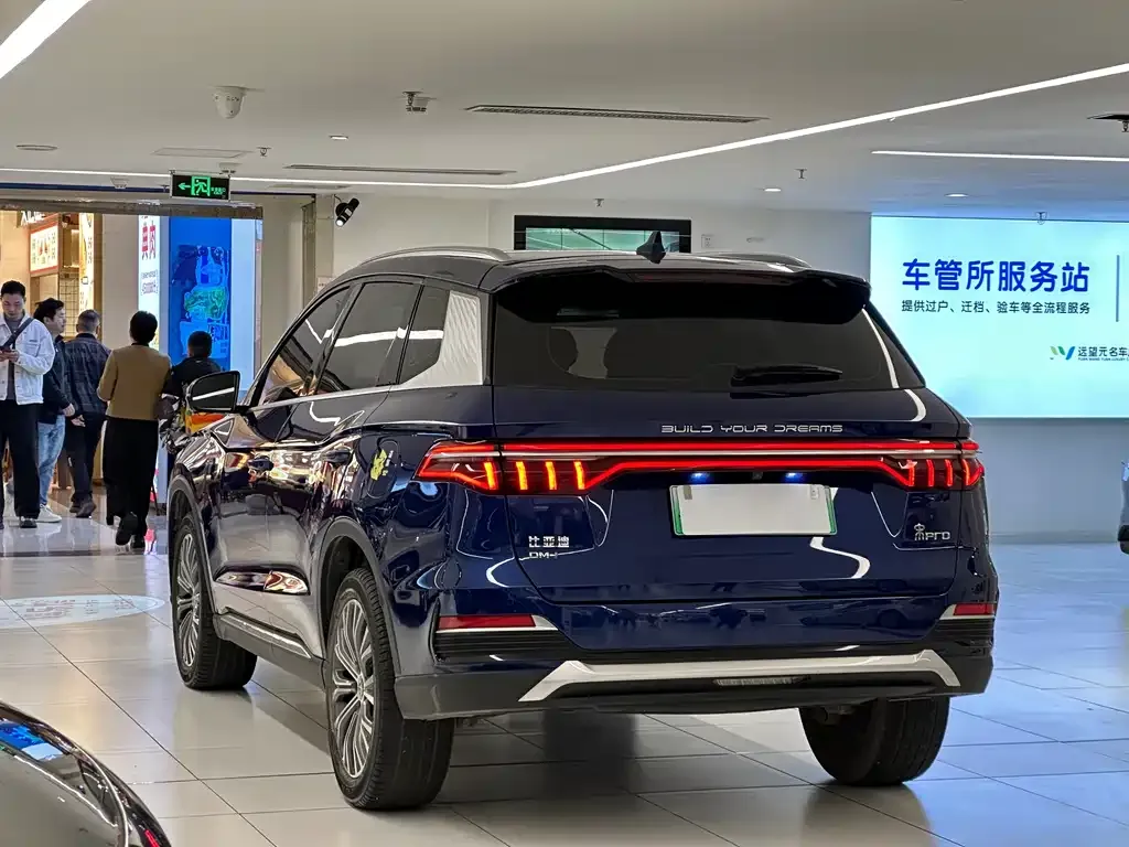 BYD Pro New Energy — фото 10
