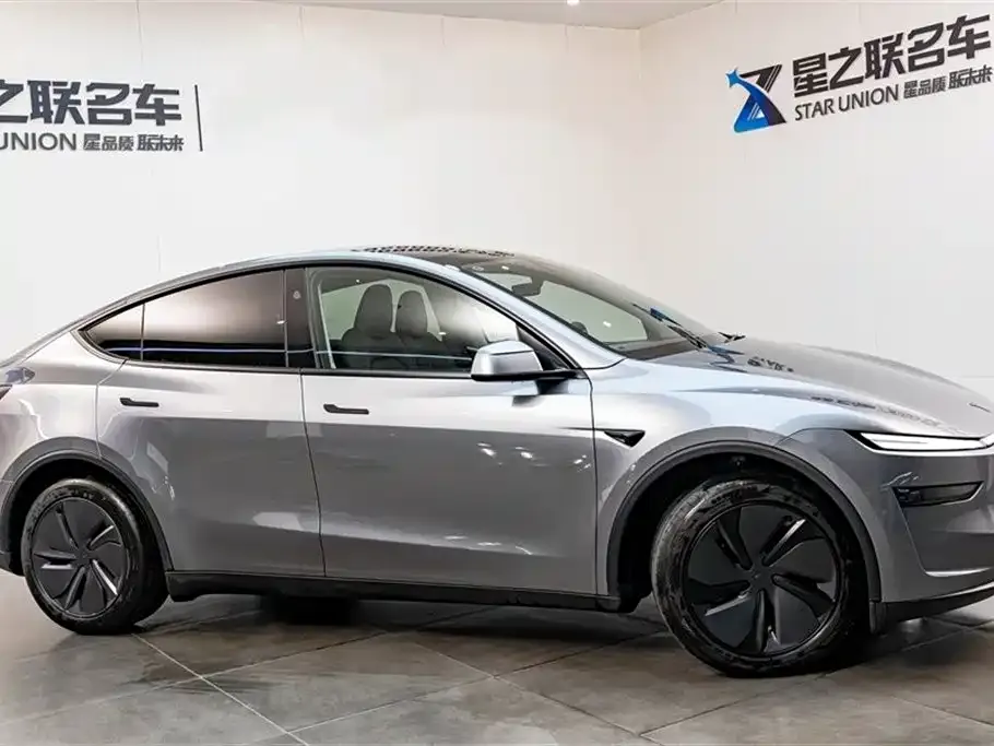 Tesla Model Y — фото 2