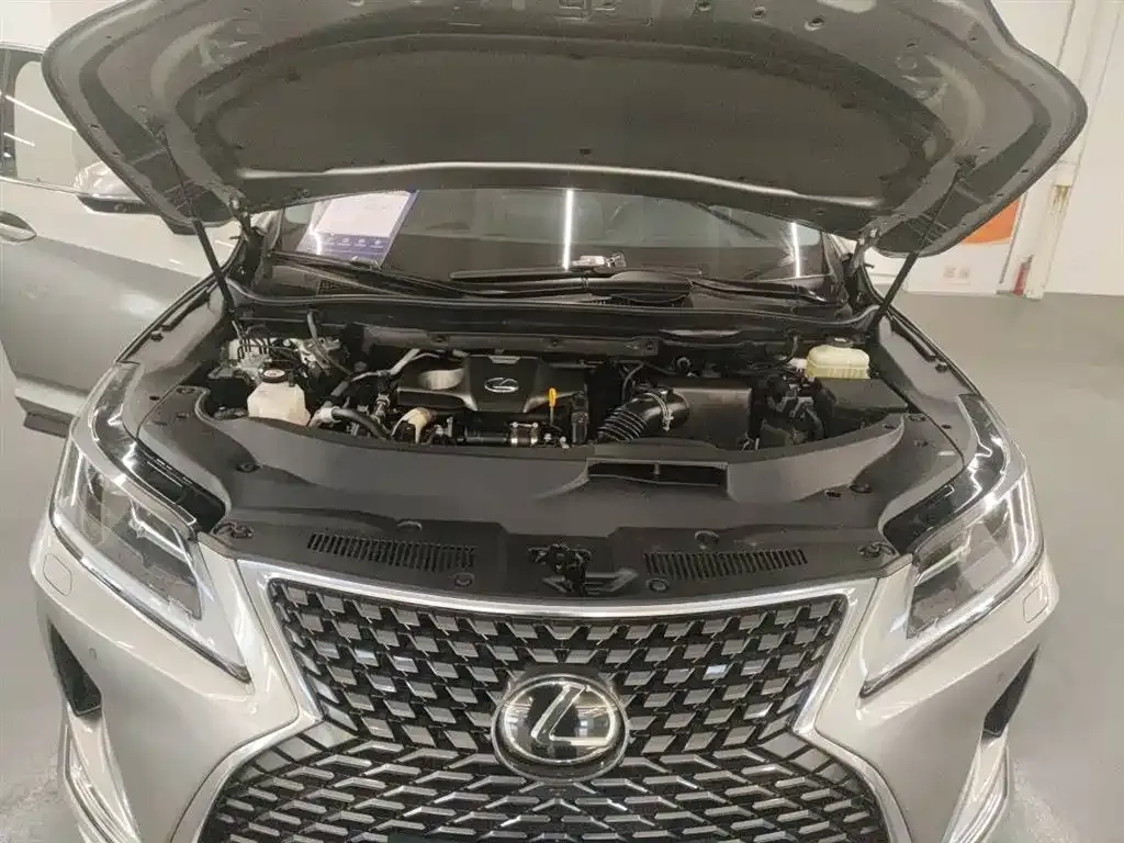 Lexus RX — фото 10