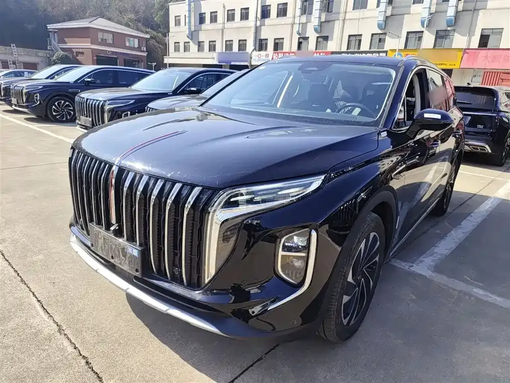 Hongqi HS7 PHEV — фото 10