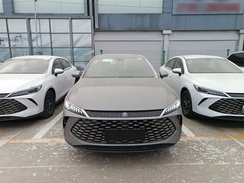 BYD Qin PLUS — фото 4