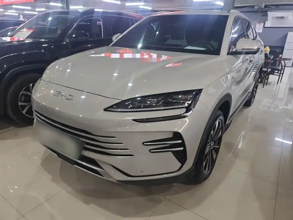 BYD PLUS New Energy — фото 3