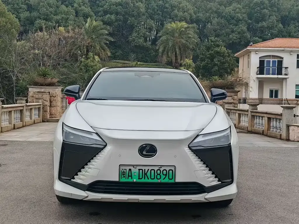 Lexus RZ — фото 5