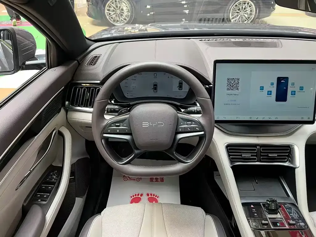 BYD PLUS New Energy — фото 10