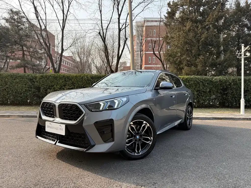 BMW X2 (Import) — фото 1