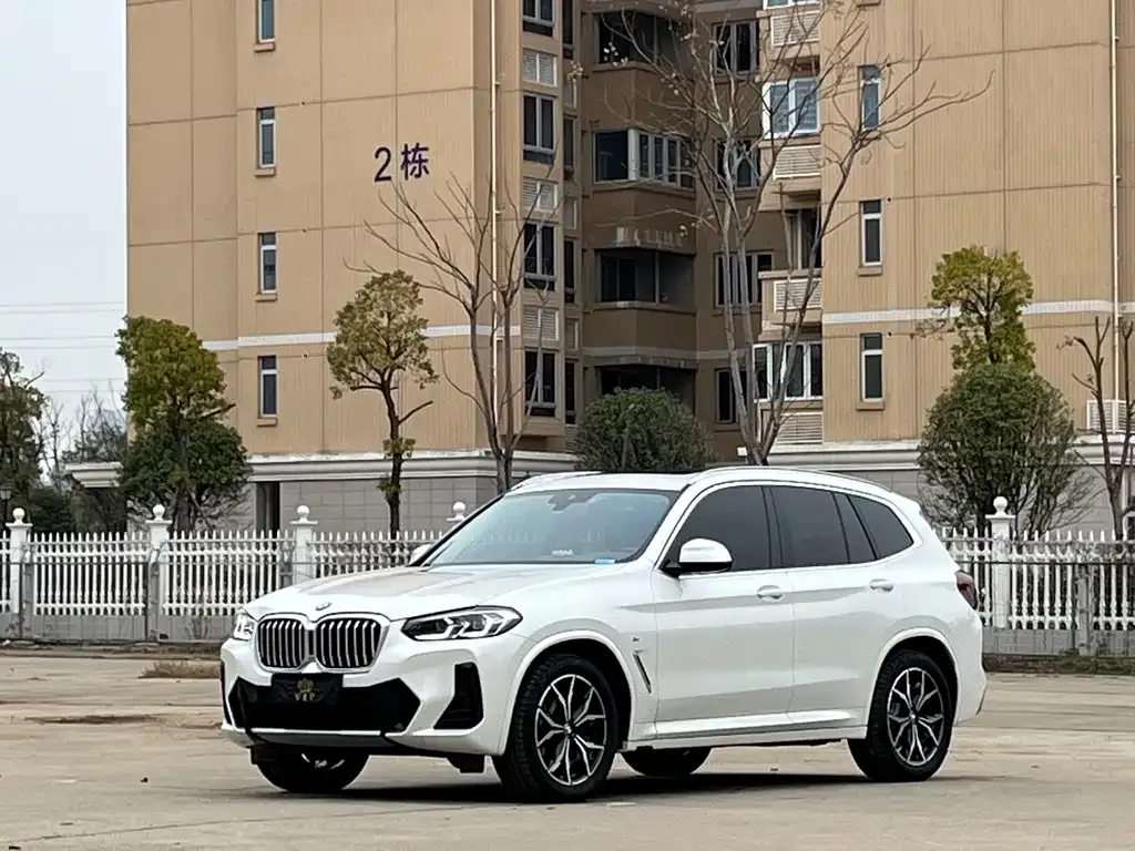 BMW X3 — фото 1