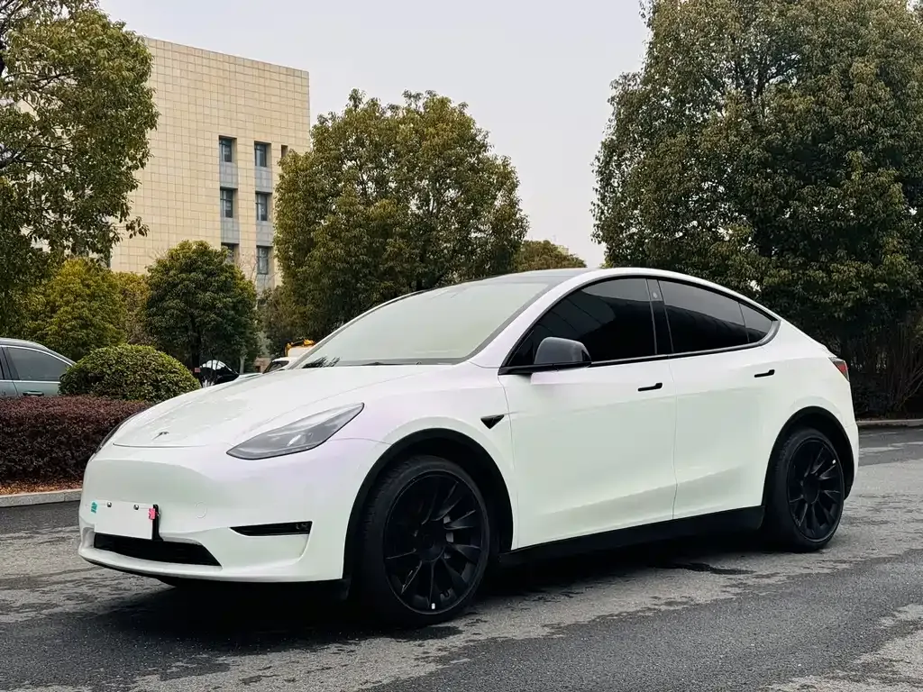 Tesla Model Y — фото 1