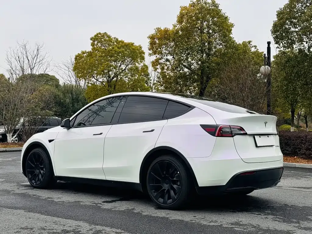 Tesla Model Y — фото 8