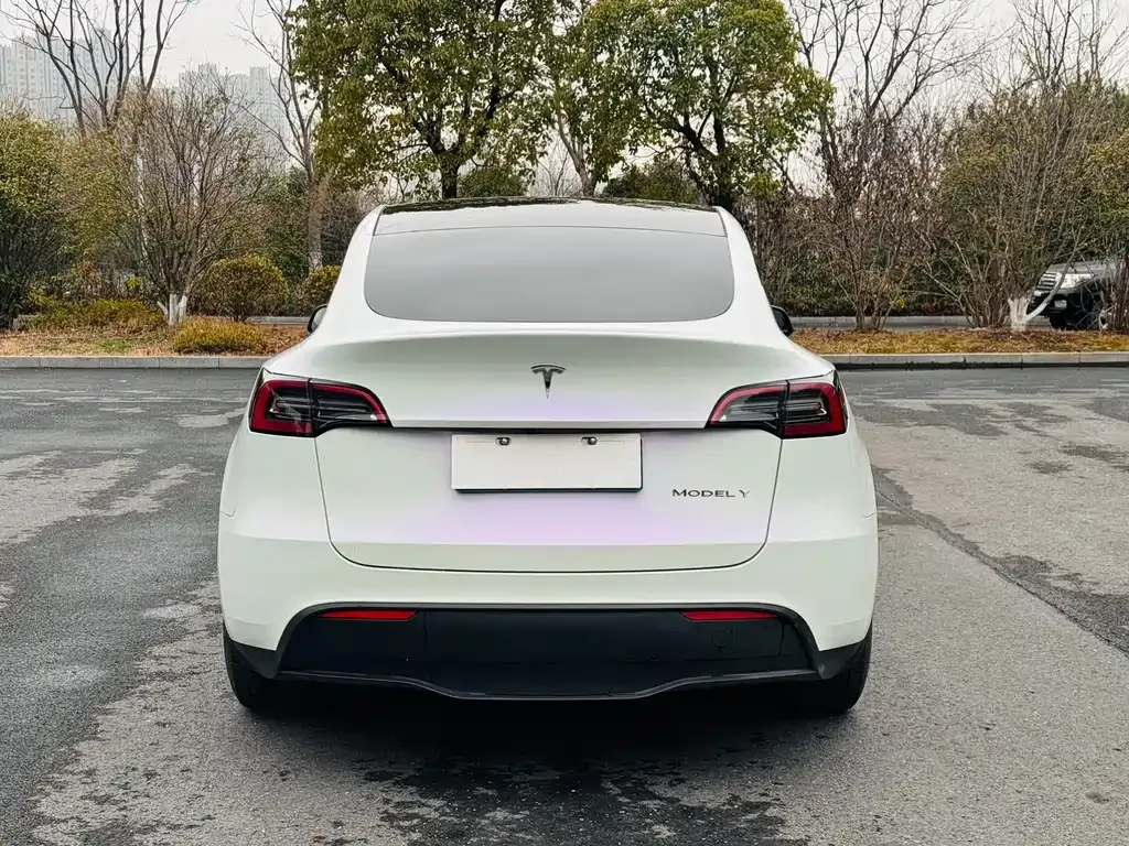 Tesla Model Y — фото 10