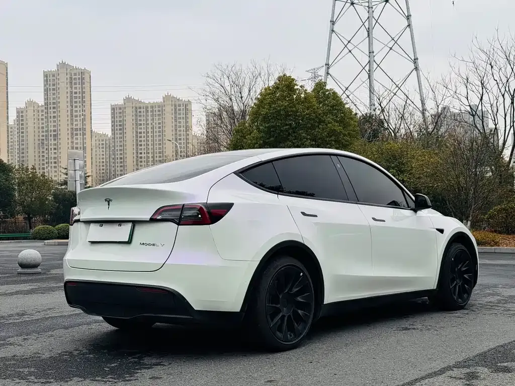Tesla Model Y — фото 3