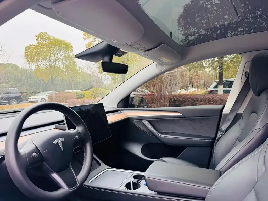 Tesla Model Y — фото 2