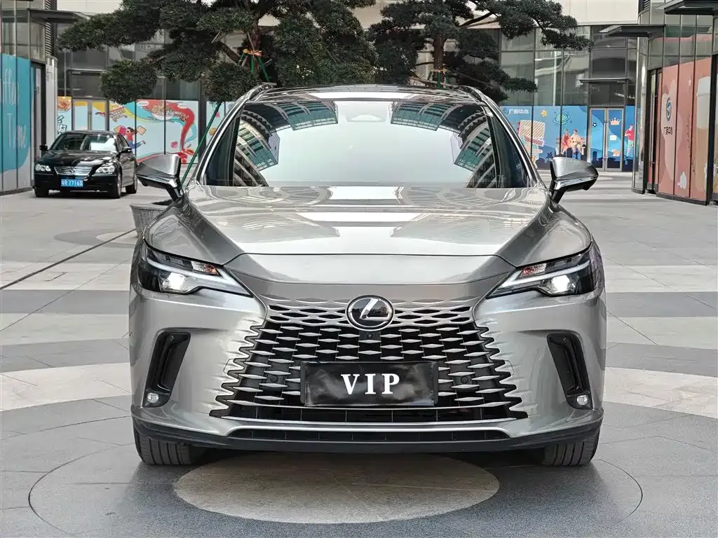 Lexus RX — фото 10
