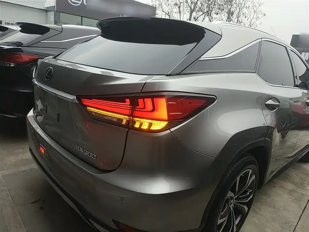 Lexus RX — фото 10
