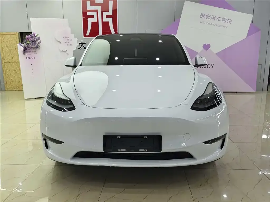 Tesla Model Y — фото 3