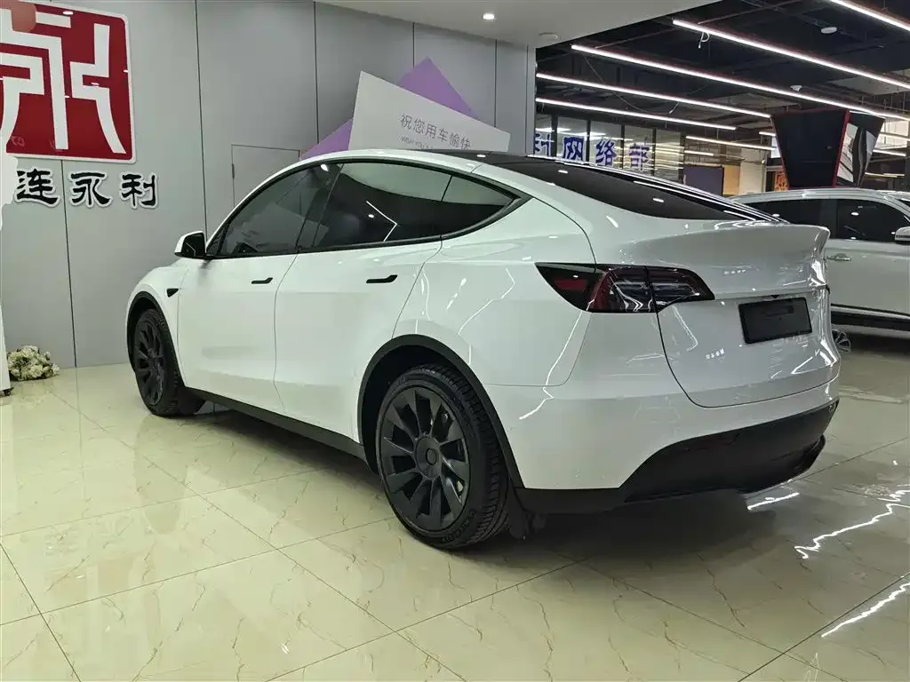 Tesla Model Y — фото 5