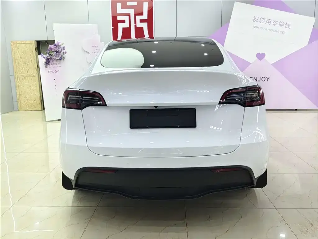 Tesla Model Y — фото 2