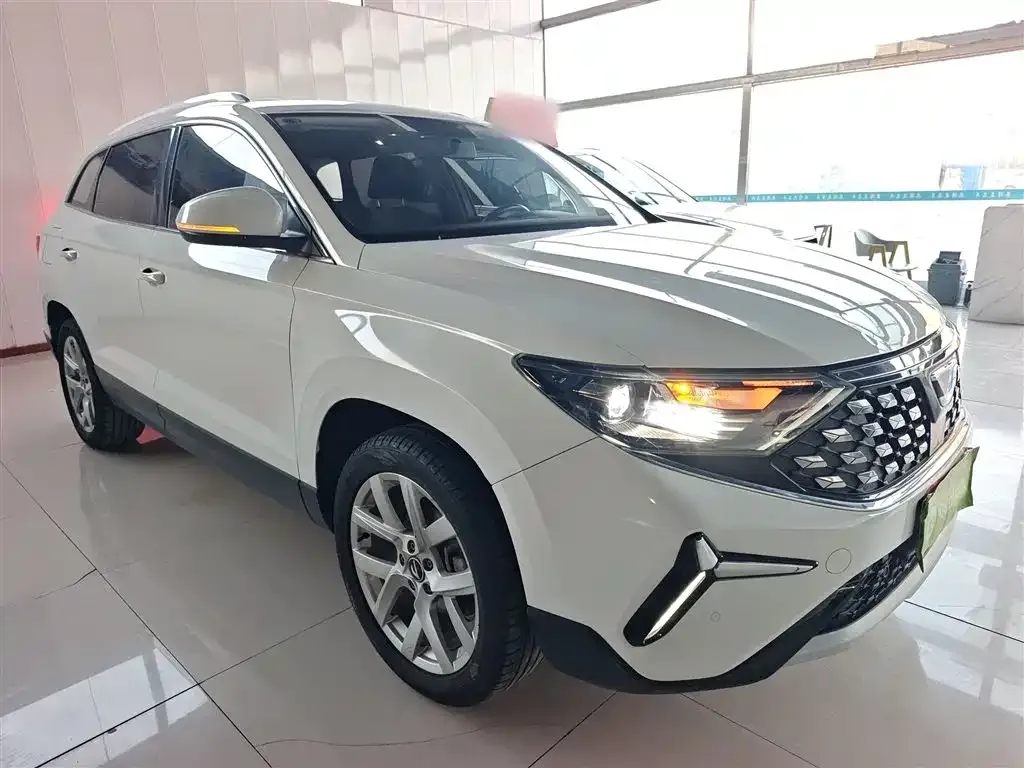 Jetta VS7 — фото 8